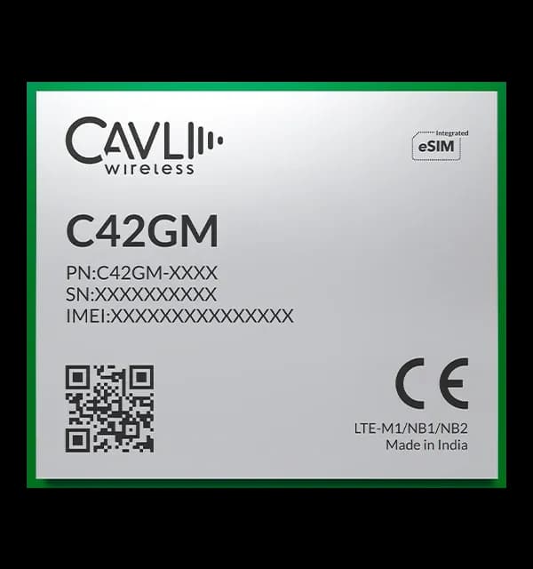 C42GM LTE M1/Cat NB1/NB2 IoT Module LGA