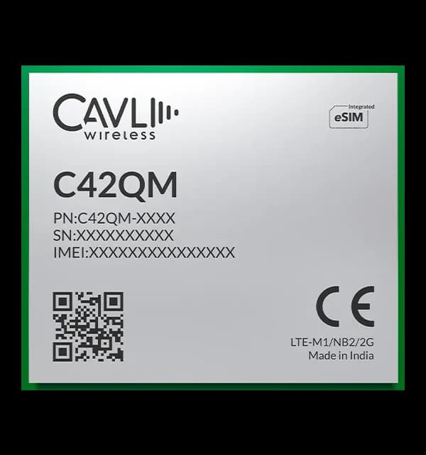 Module Image
