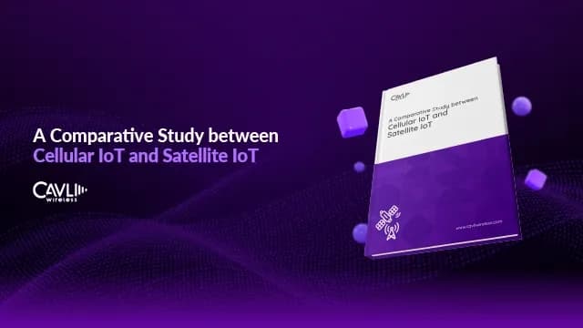 A Comparative Study between Cellular IoT and Satellite IoT