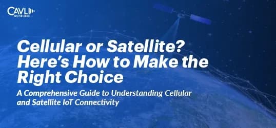 A Guide on Cellular IoT and Satellite IoT