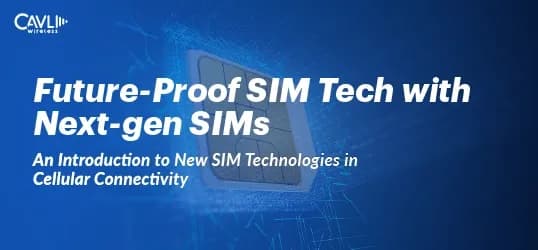 what beholds for the future of sim technology