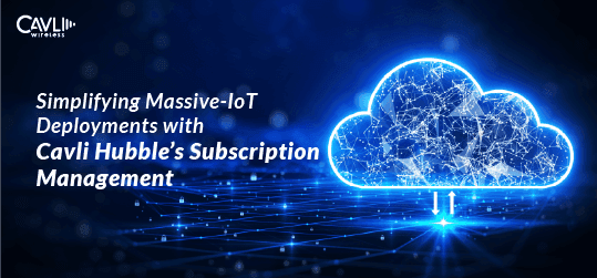 Deployments with Cavli Hubble’s Subscription Management