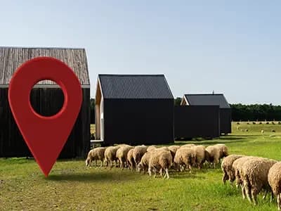  Pet and Livestock Tracking Solutions