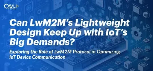 LwM2M Protocol for IoT Device Management 