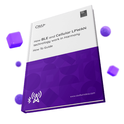 BLE and Cellular LPWAN Technology