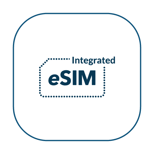 eSim
