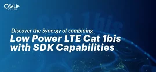 Low-power LTE Cat1bis SDK Features