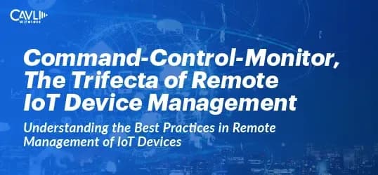 Remote Management of IoT Devices