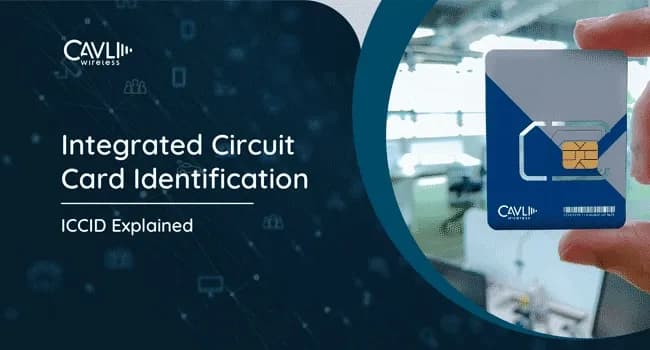 What Is an ICCID Number? 