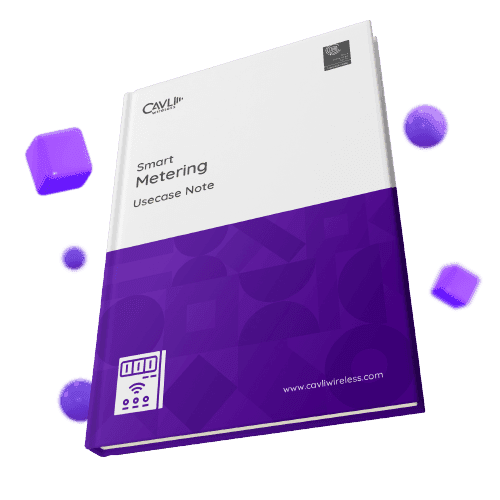 Smart Metering