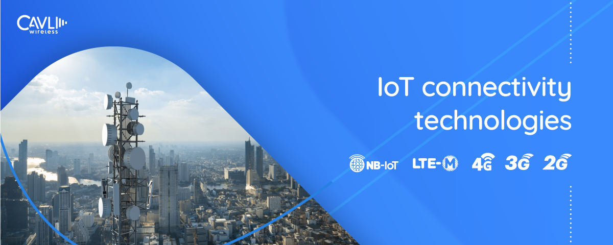 LPWAN technologies for the Internet of Things